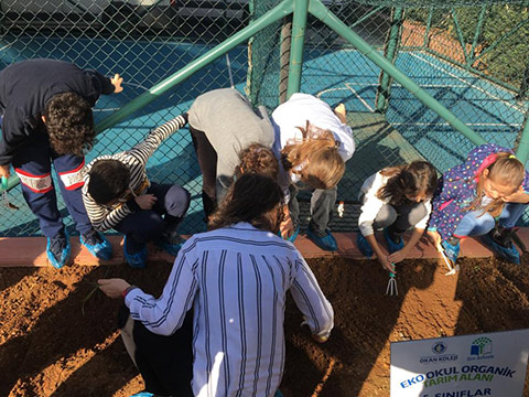 Ataşehir Ecoschool Tarım Alanı 