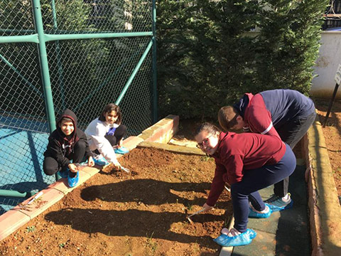 Ataşehir Ecoschool Tarım Alanı 