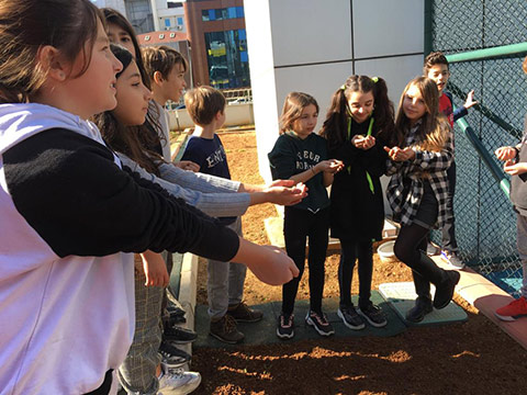 Ataşehir Ecoschool Tarım Alanı 