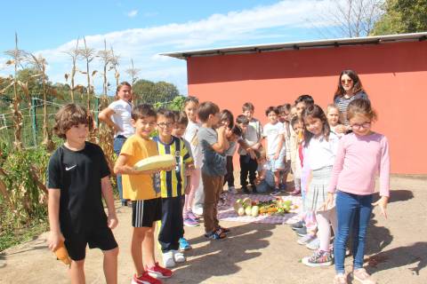Doğa İçindeki Kampüsümüzde Öğrencilerimiz Yaşayarak Öğreniyorlar