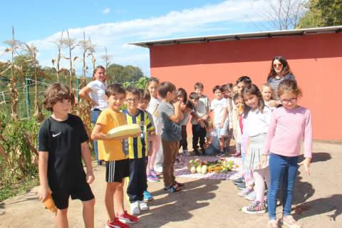 Doğa İçindeki Kampüsümüzde Öğrencilerimiz Yaşayarak Öğreniyorlar 