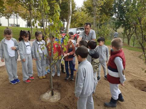 Doğa İçindeki Kampüsümüzde Öğrencilerimiz Yaşayarak Öğreniyorlar 